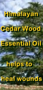 Ormus Minerals Himalayan Cedar Wood Healing Ormus Oil helps wounds