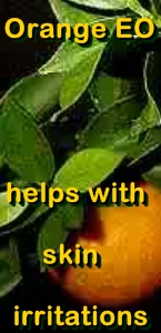 Ormus Minerals Orange Healing Ormus Oil helps with skin irritations