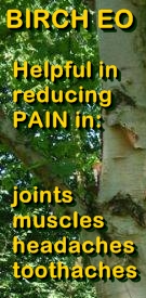 Ormus Minerals Advanced Magnesium & Essential Oils for Pain and Inflammation Relief Birch EO helpful in reducing pain