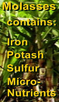 Ormus Minerals - Probiotics NUTRIENTS Ormus Minerals - Probiotics NUTRIENTS