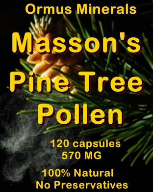 Ormus Minerals Masson Pine Tree Pollen Ormus Minerals Masson Pine Tree Pollen