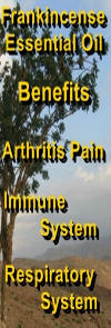 Ormus Minerals - Mg Healing Oil with Frankincense EO benefits Ormus Minerals - Mg Healing Oil with Frankincense EO benefits