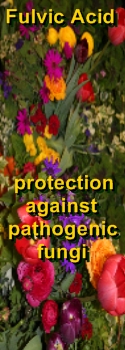 Ormus Minerals Fulvic Acid protection against pathogenic fungi