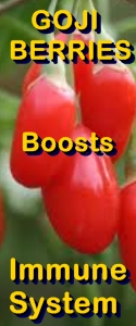 Ormus Minerals Goji Berries benefit - boosts immune system