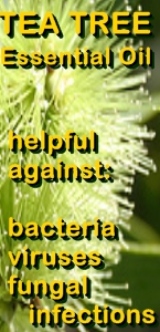 Ormus Minerals Tea Tree Healing Ormus Oil - helpful against bacteria, viruses, fungal infections