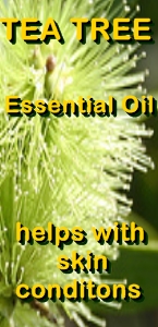 Ormus Minerals Tea Tree Essential oil helps with skin conditions Ormus Minerals Tea Tree Essential oil helps with skin conditions