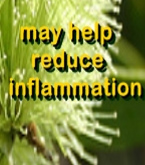 Ormus Minerals Tea Tree Anointing OIl may help reduce inflammation