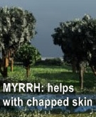 Ormus Minerals Myrrh Healing Ormus Oil